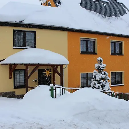 Edelweiss Im Erzgebirge *