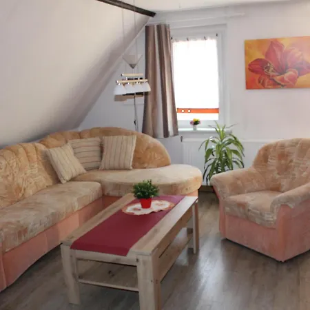 Edelweiss Im Erzgebirge *