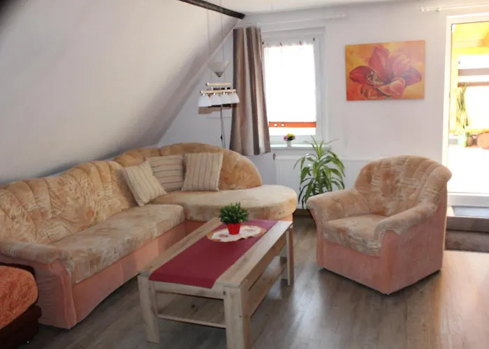 Edelweiss Im Erzgebirge *